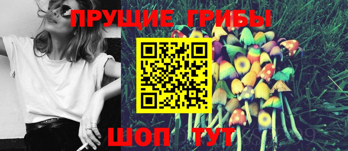 Санкт-Петербург  Галлюциногенные грибы MAGIC MUSHROOMS  Псилоцибиновые грибы Magic Shrooms  Вход с VPN 
