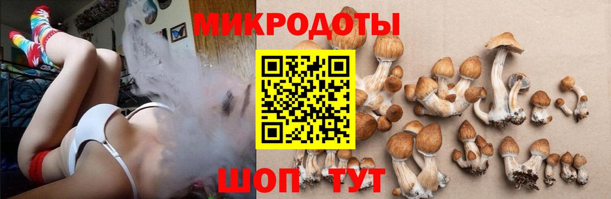 Псилоцибиновые грибы MAGIC MUSHROOMS Санкт-Петербург